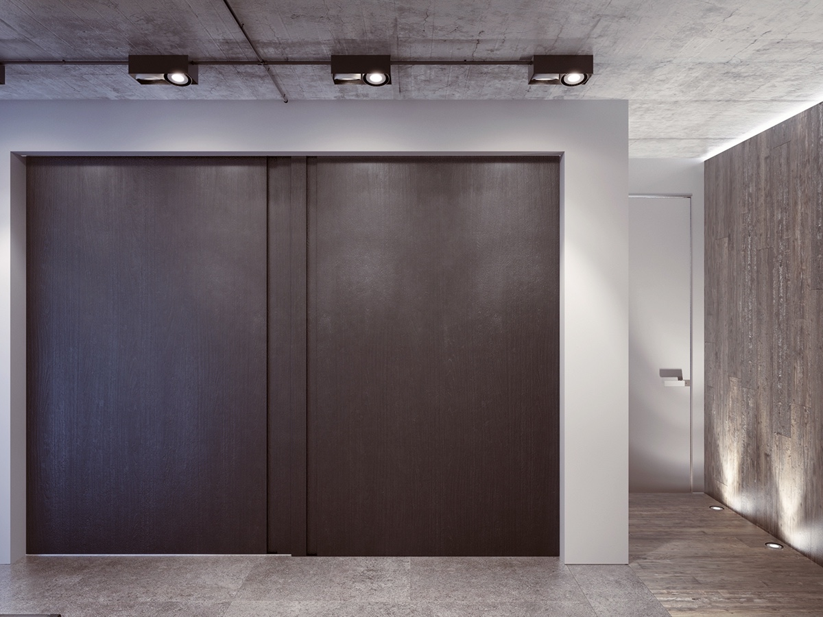 minimalist-dark-interior-door